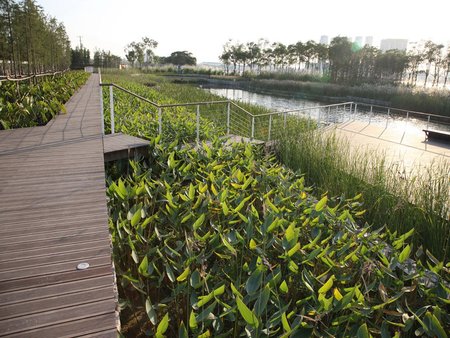 Wetland Houtan Park Turenscape-Shanghai-Houtan-Park