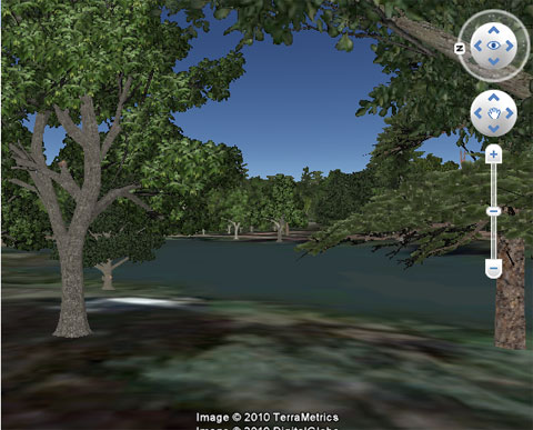 Google Earth 3D Trees